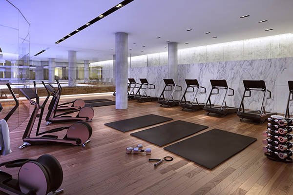 gallery 6